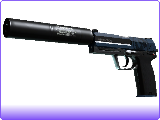 USP-S | Guardian