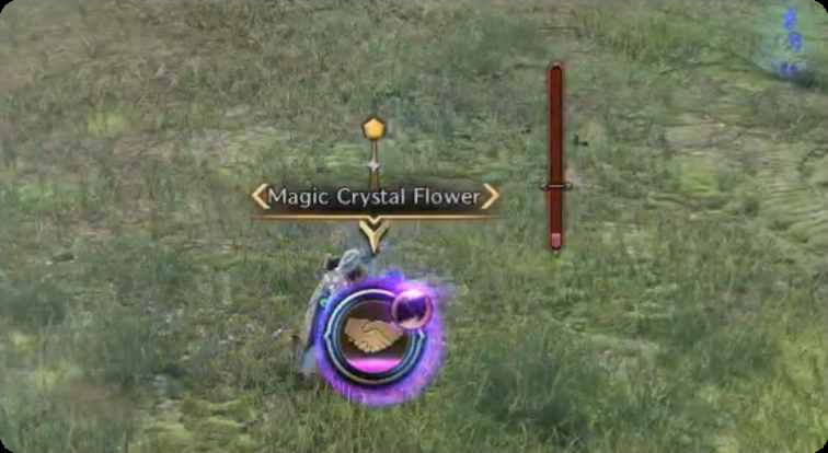 Magic Crystal Flower in Throne and Liberty