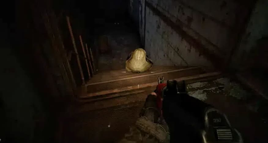 stalker 2 poltergeist