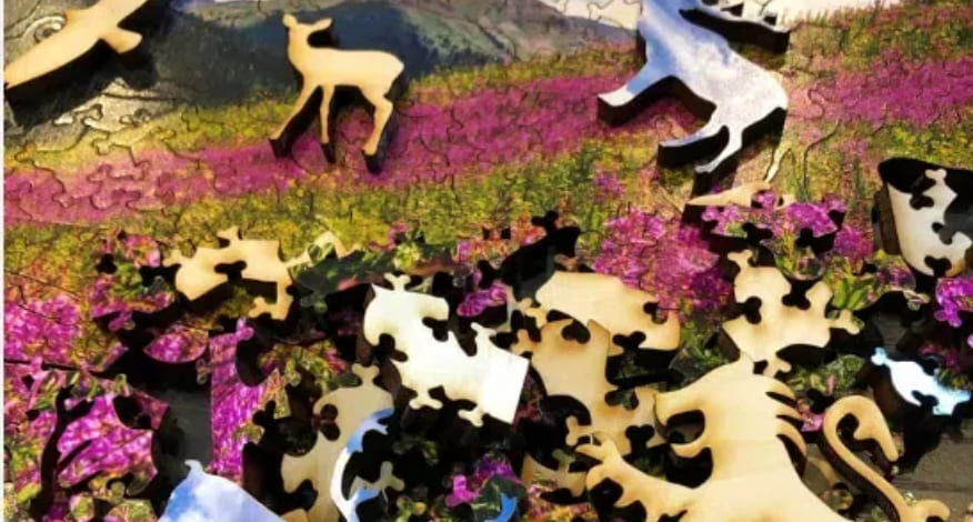 wooden puzzles solutions